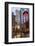 Arlene Schnitzer Concert Hall in Downtown Portland, Oregon-Chuck Haney-Framed Photographic Print