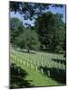 Arlington Cemetery, Arlington, Virginia, USA-Jonathan Hodson-Mounted Photographic Print