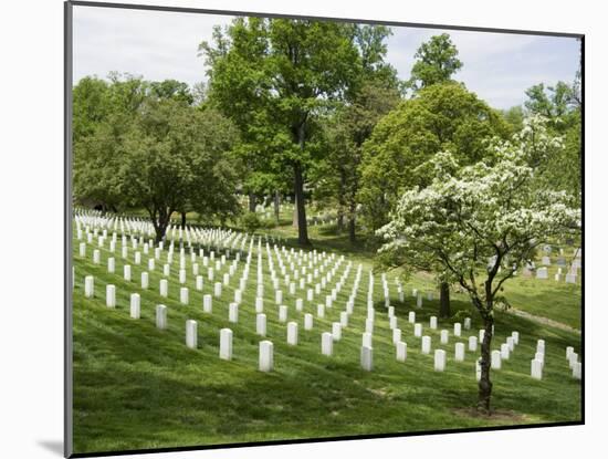 Arlington National Cemetery, Arlington, Virginia, United States of America, North America-Robert Harding-Mounted Photographic Print