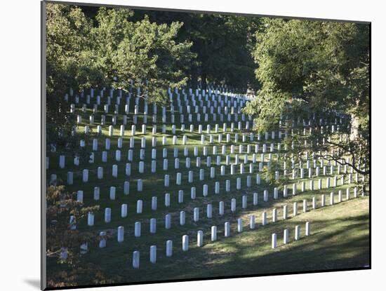 Arlington National Cemetery, Arlington, Virginia, USA-Stocktrek Images-Mounted Photographic Print