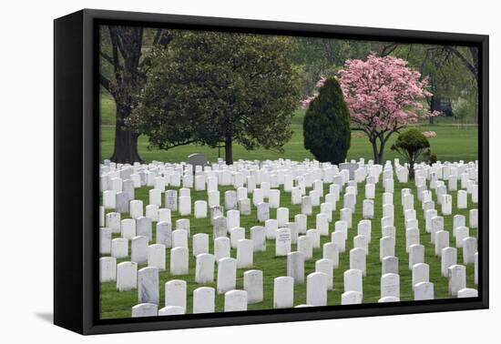 Arlington National Cemetery Headstones, Arlington, Virginia, USA-Jaynes Gallery-Framed Premier Image Canvas