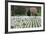 Arlington National Cemetery Headstones, Arlington, Virginia, USA-Jaynes Gallery-Framed Photographic Print