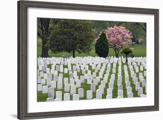 Arlington National Cemetery Headstones, Arlington, Virginia, USA-Jaynes Gallery-Framed Photographic Print