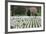Arlington National Cemetery Headstones, Arlington, Virginia, USA-Jaynes Gallery-Framed Photographic Print
