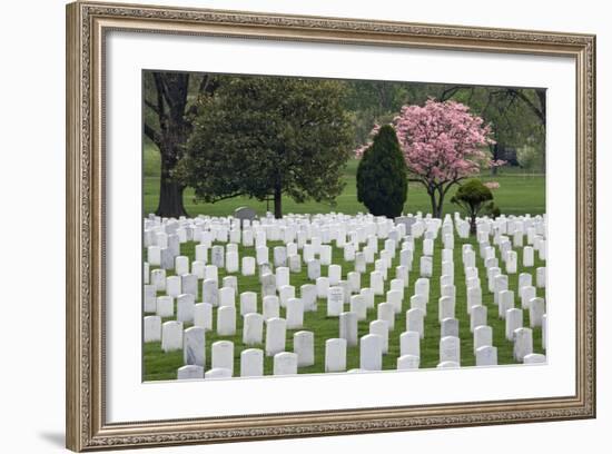 Arlington National Cemetery Headstones, Arlington, Virginia, USA-Jaynes Gallery-Framed Photographic Print