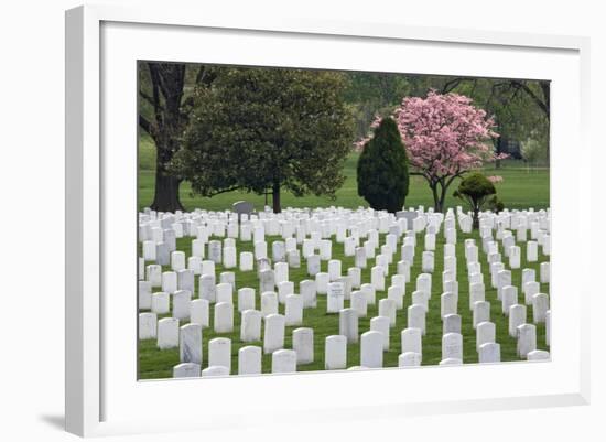 Arlington National Cemetery Headstones, Arlington, Virginia, USA-Jaynes Gallery-Framed Photographic Print