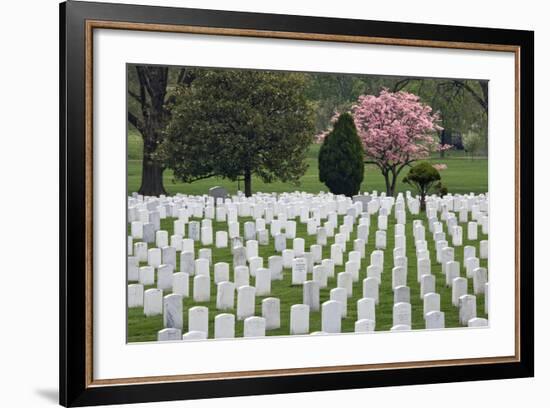 Arlington National Cemetery Headstones, Arlington, Virginia, USA-Jaynes Gallery-Framed Photographic Print