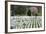 Arlington National Cemetery Headstones, Arlington, Virginia, USA-Jaynes Gallery-Framed Photographic Print