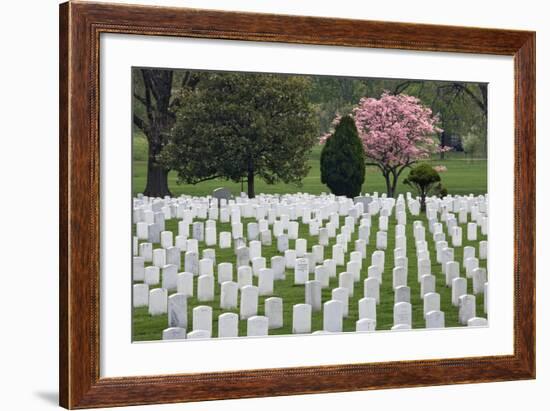 Arlington National Cemetery Headstones, Arlington, Virginia, USA-Jaynes Gallery-Framed Photographic Print