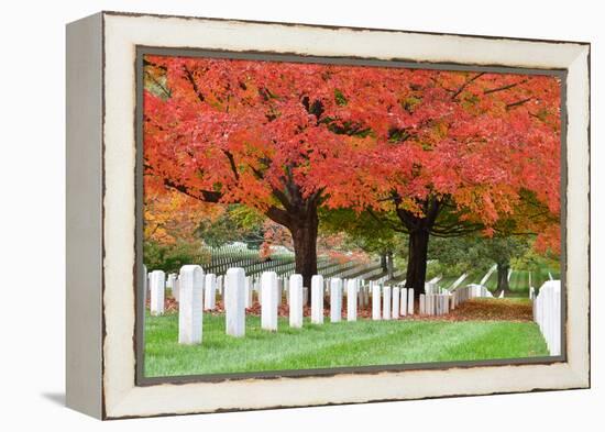 Arlington National Cemetery near to Washington Dc, in Autumn-Orhan-Framed Premier Image Canvas