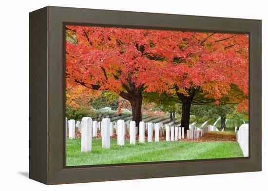 Arlington National Cemetery near to Washington Dc, in Autumn-Orhan-Framed Premier Image Canvas