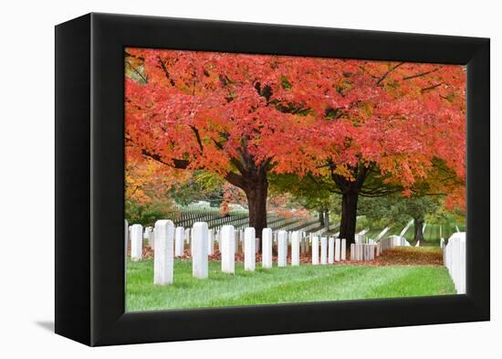 Arlington National Cemetery near to Washington Dc, in Autumn-Orhan-Framed Premier Image Canvas