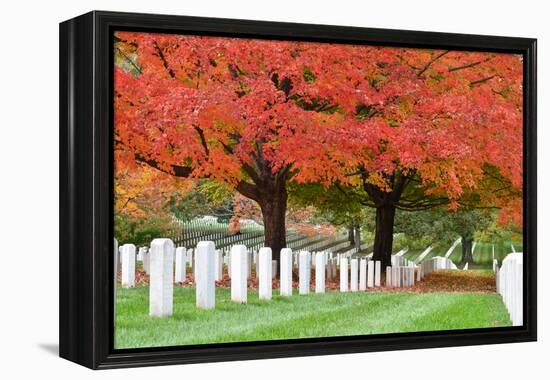 Arlington National Cemetery near to Washington Dc, in Autumn-Orhan-Framed Premier Image Canvas