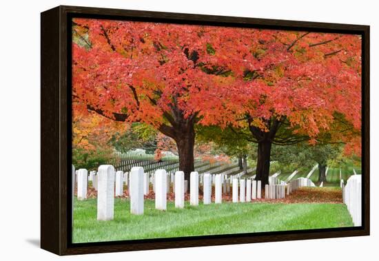 Arlington National Cemetery near to Washington Dc, in Autumn-Orhan-Framed Premier Image Canvas