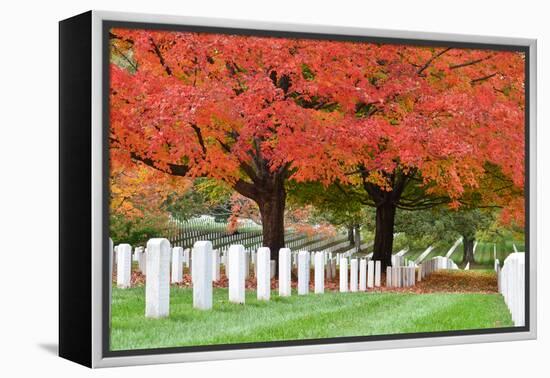 Arlington National Cemetery near to Washington Dc, in Autumn-Orhan-Framed Premier Image Canvas