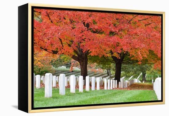 Arlington National Cemetery near to Washington Dc, in Autumn-Orhan-Framed Premier Image Canvas