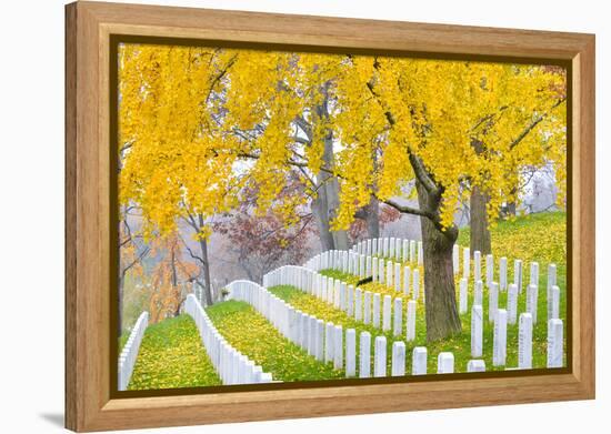 Arlington National Cemetery near to Washington Dc, in Autumn-Orhan-Framed Premier Image Canvas