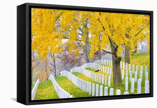 Arlington National Cemetery near to Washington Dc, in Autumn-Orhan-Framed Premier Image Canvas