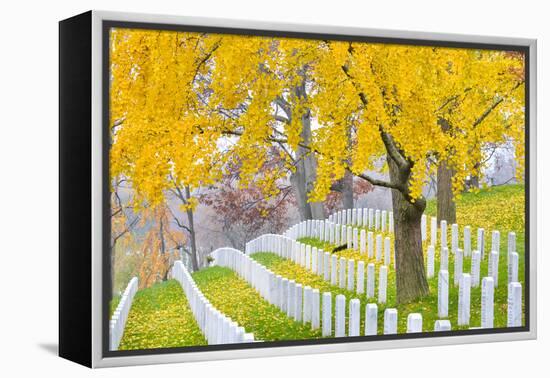 Arlington National Cemetery near to Washington Dc, in Autumn-Orhan-Framed Premier Image Canvas