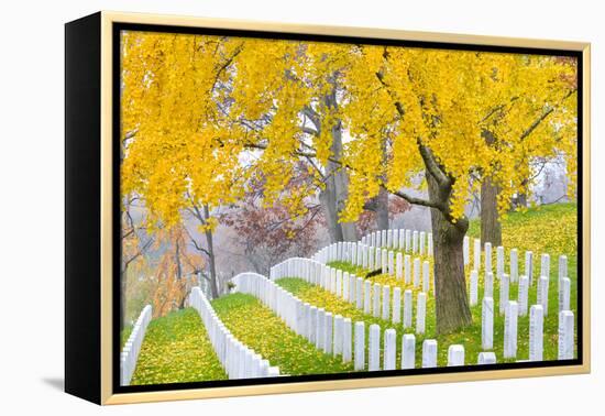 Arlington National Cemetery near to Washington Dc, in Autumn-Orhan-Framed Premier Image Canvas