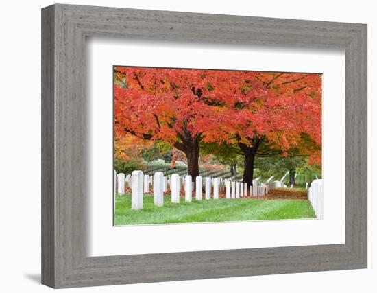 Arlington National Cemetery near to Washington Dc, in Autumn-Orhan-Framed Photographic Print