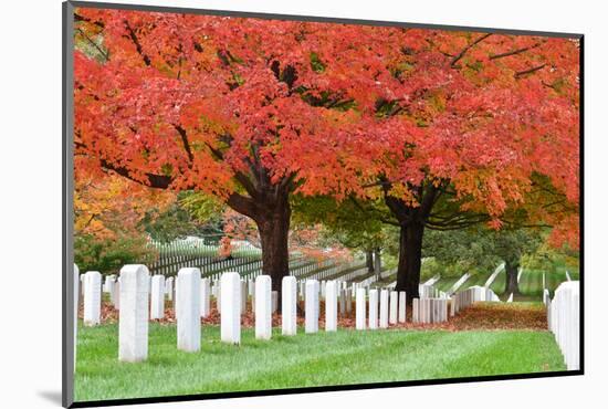 Arlington National Cemetery near to Washington Dc, in Autumn-Orhan-Mounted Photographic Print