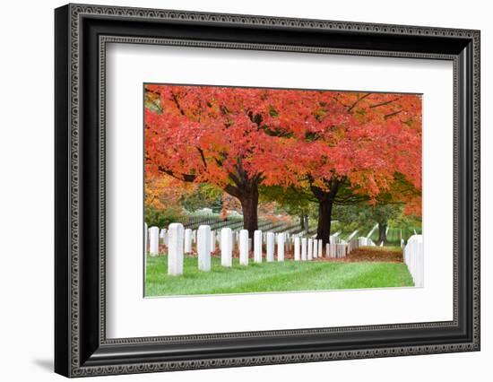 Arlington National Cemetery near to Washington Dc, in Autumn-Orhan-Framed Photographic Print