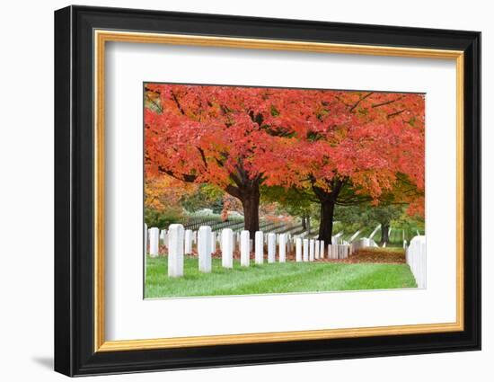 Arlington National Cemetery near to Washington Dc, in Autumn-Orhan-Framed Photographic Print