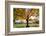 Arlington National Cemetery near to Washington Dc, in Autumn-Orhan-Framed Photographic Print