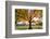 Arlington National Cemetery near to Washington Dc, in Autumn-Orhan-Framed Photographic Print