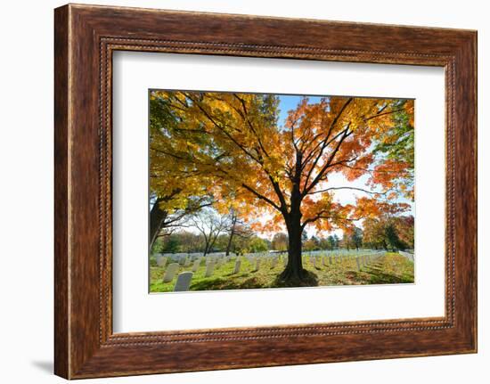 Arlington National Cemetery near to Washington Dc, in Autumn-Orhan-Framed Photographic Print