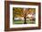 Arlington National Cemetery near to Washington Dc, in Autumn-Orhan-Framed Photographic Print