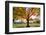 Arlington National Cemetery near to Washington Dc, in Autumn-Orhan-Framed Photographic Print