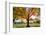 Arlington National Cemetery near to Washington Dc, in Autumn-Orhan-Framed Photographic Print