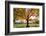 Arlington National Cemetery near to Washington Dc, in Autumn-Orhan-Framed Photographic Print