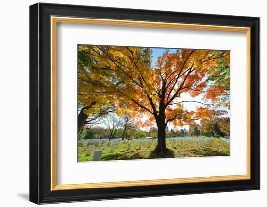 Arlington National Cemetery near to Washington Dc, in Autumn-Orhan-Framed Photographic Print