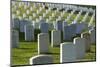 Arlington National Cemetery, Virginia, Usa.-Jon Hicks-Mounted Photographic Print