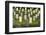 Arlington National Cemetery, Virginia, Usa.-Jon Hicks-Framed Photographic Print