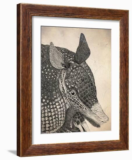 Armadillo-null-Framed Giclee Print