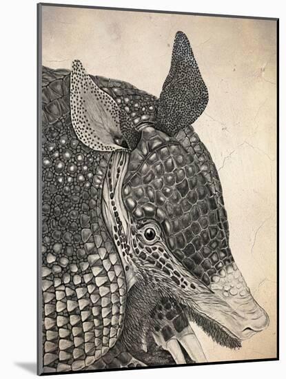 Armadillo-null-Mounted Giclee Print