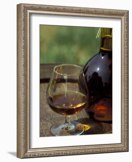 Armagnac is Made From White Grapes, Aquitania, France-Michele Molinari-Framed Photographic Print