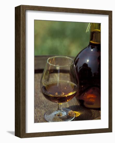 Armagnac is Made From White Grapes, Aquitania, France-Michele Molinari-Framed Photographic Print