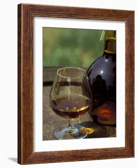 Armagnac is Made From White Grapes, Aquitania, France-Michele Molinari-Framed Photographic Print