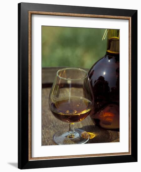 Armagnac is Made From White Grapes, Aquitania, France-Michele Molinari-Framed Photographic Print