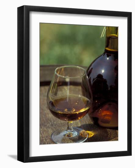 Armagnac is Made From White Grapes, Aquitania, France-Michele Molinari-Framed Photographic Print