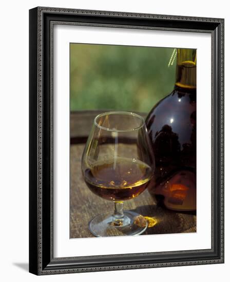 Armagnac is Made From White Grapes, Aquitania, France-Michele Molinari-Framed Photographic Print