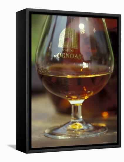 Armagnac is Made From White Grapes, Aquitania, France-Michele Molinari-Framed Premier Image Canvas