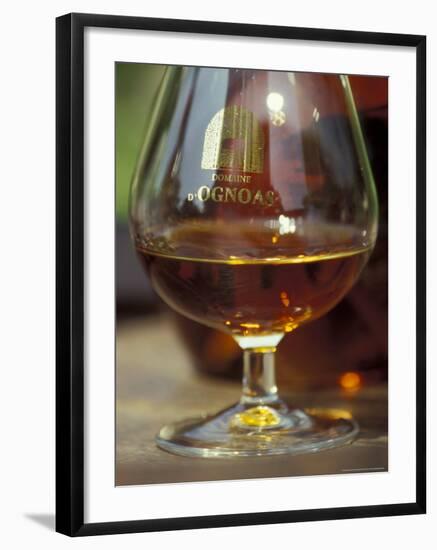 Armagnac is Made From White Grapes, Aquitania, France-Michele Molinari-Framed Photographic Print