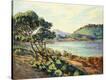 Stretched Canvas Print