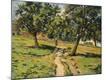 Premium Giclee Print